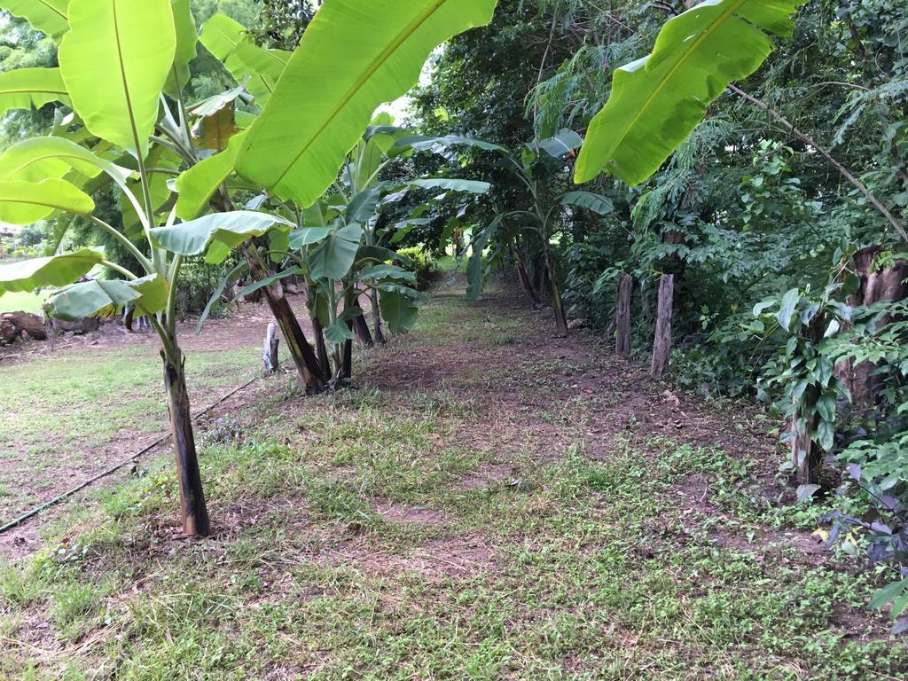 Paipunthong Resort Luaran gambar