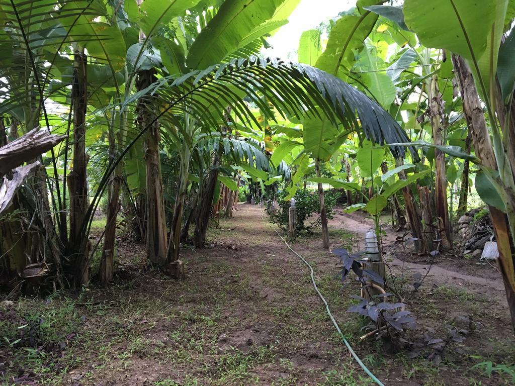 Paipunthong Resort Luaran gambar